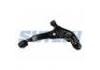 Control Arm:54500-0E000