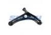 控制臂 Control Arm:48069-09060