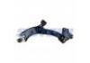 Control Arm:51360-SWA-A01