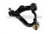 控制臂 Control Arm:48067-29075