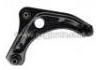 Control Arm:54500-1HM0B