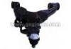 Control Arm:48068-60030