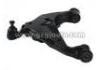 Control Arm:48069-0K040