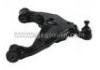 Control Arm:48068-0K040