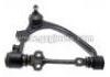 Control Arm:48066-29025