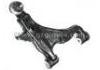 Control Arm:48069-0K010