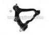 Control Arm:48066-29075