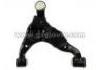 Control Arm:48068-60040