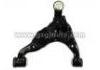 Control Arm:48069-60040